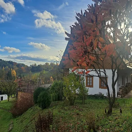 Villa Private Pool In Stupna Pecka